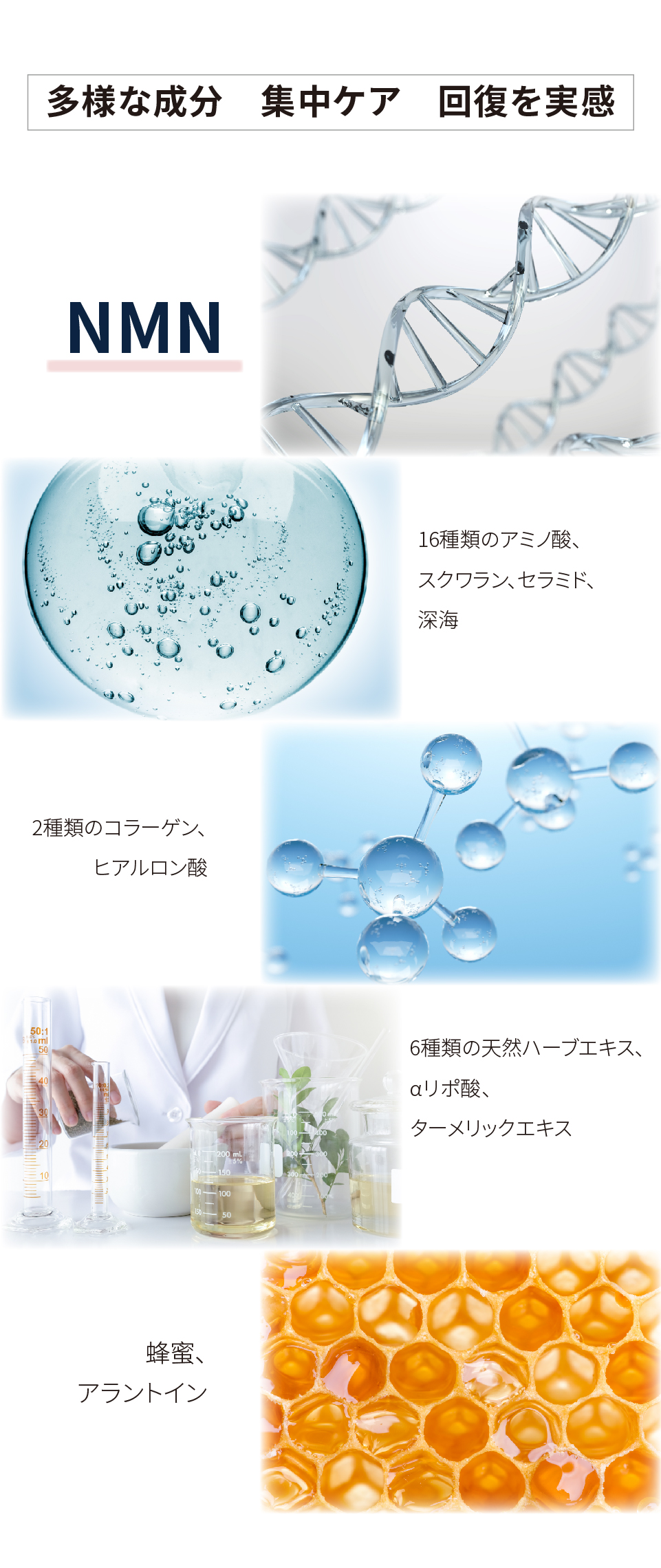 元歳栄養,NMN,mask