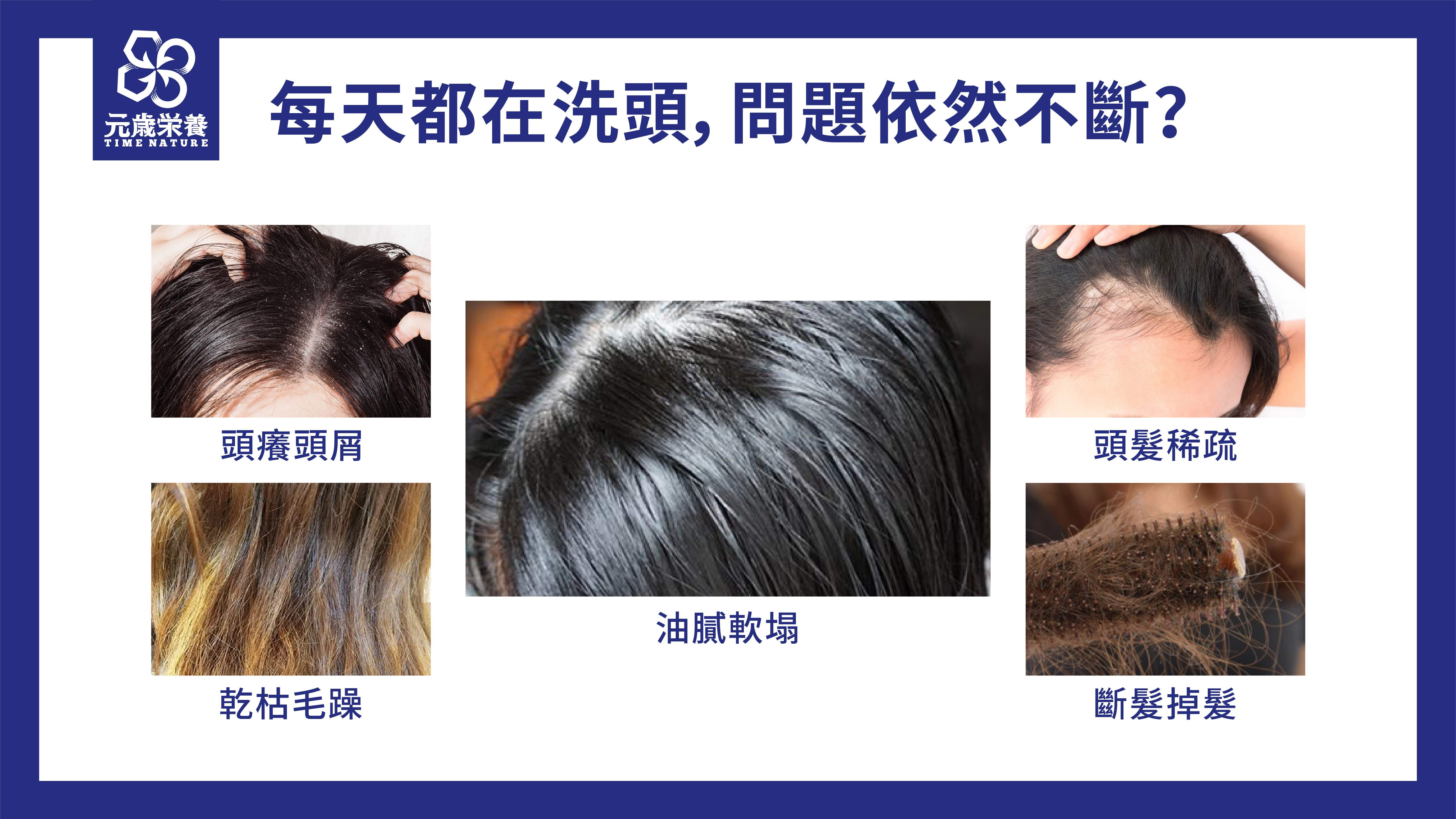 元歳栄養,ジェネシス　ヘアクレンジング