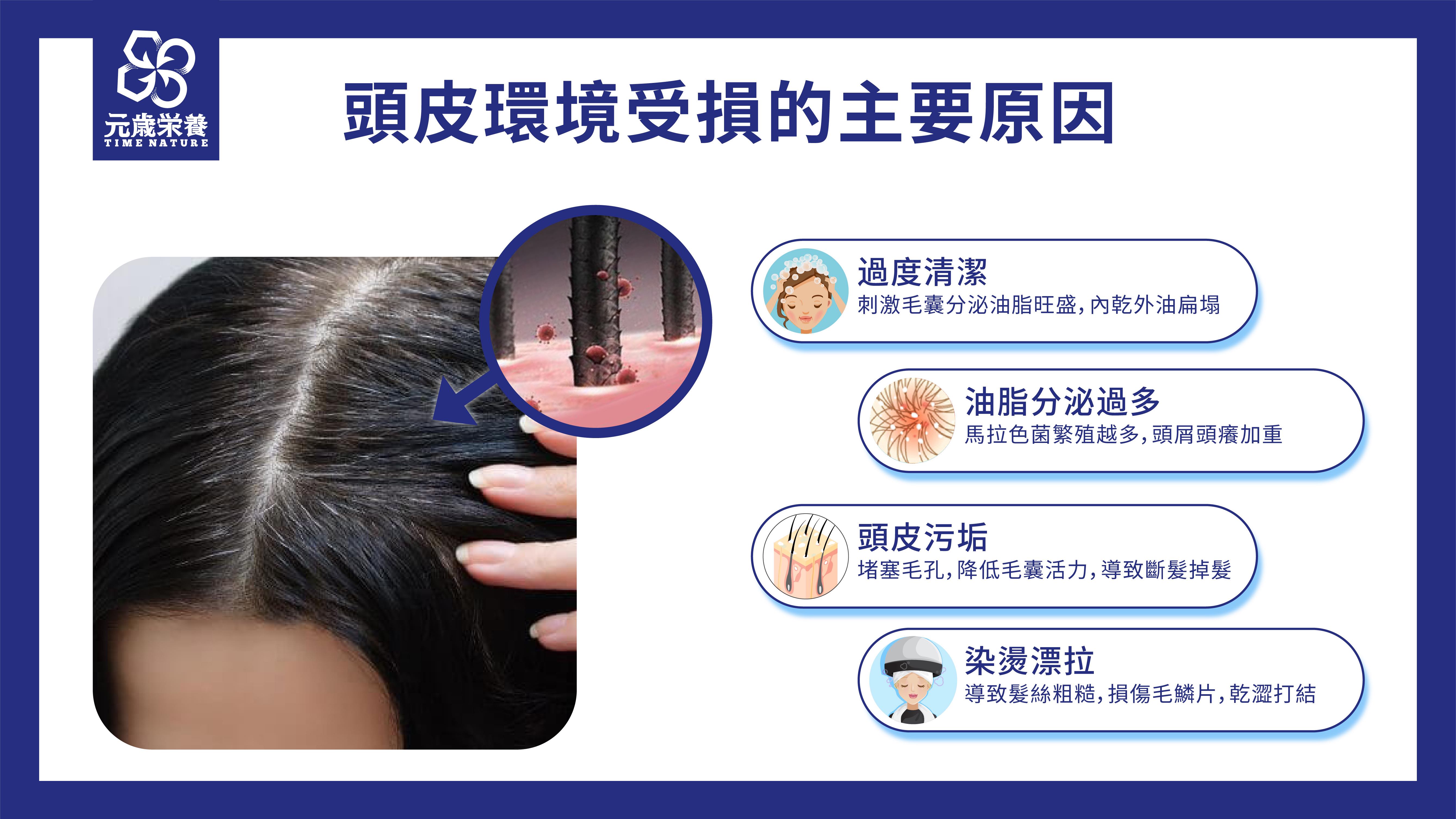 元歳栄養,ジェネシス　ヘアクレンジング